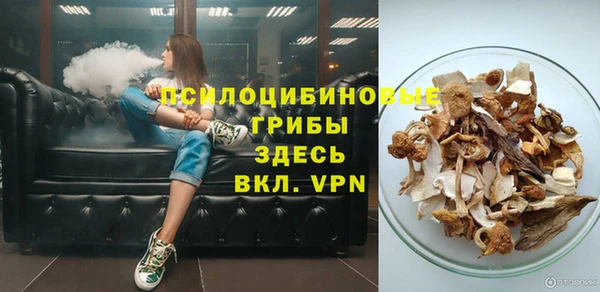 хмурый Алексеевка