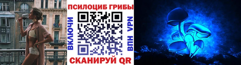 ссылка на мегу как зайти  Геленджик  Псилоцибиновые грибы MAGIC MUSHROOMS 